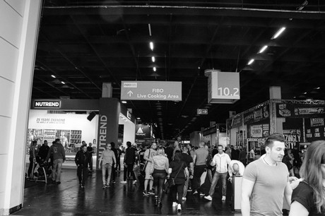 fibo