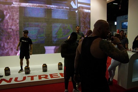 fibo