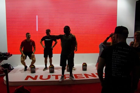 fibo