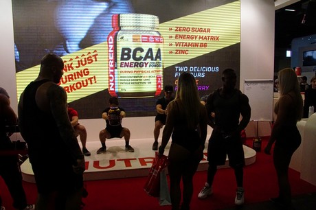 fibo