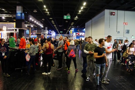 fibo