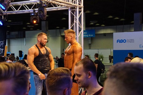 fibo