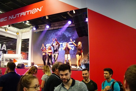 fibo