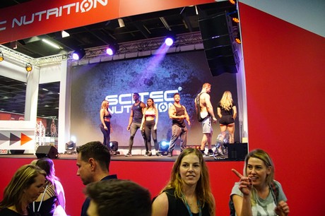 fibo