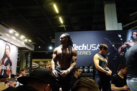 fibo