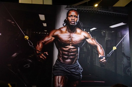 fibo