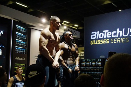 fibo