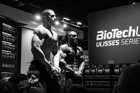 fibo