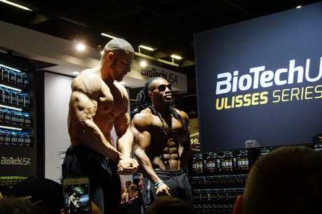 fibo