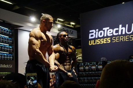 fibo