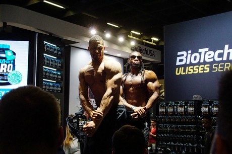 fibo