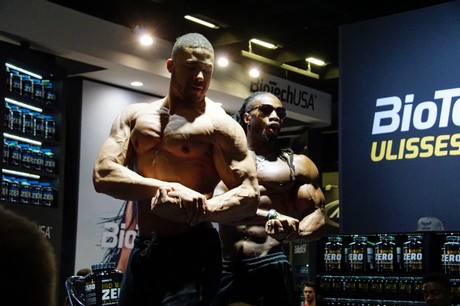 fibo