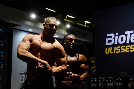 fibo