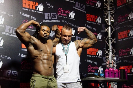 fibo