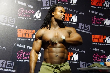 fibo