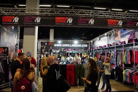 fibo