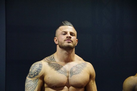 fibo