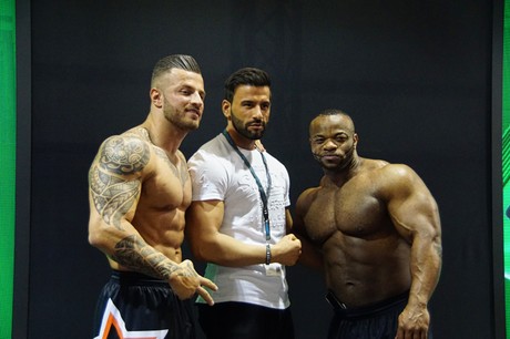 fibo