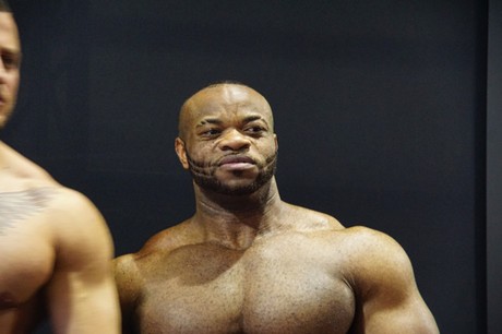 fibo