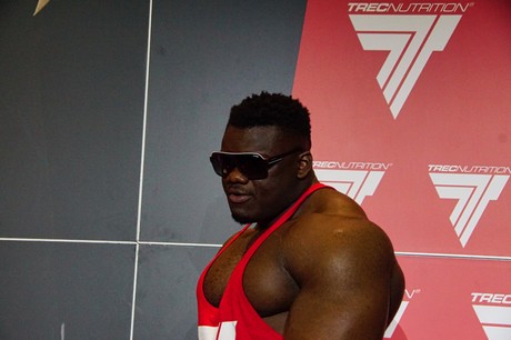 fibo