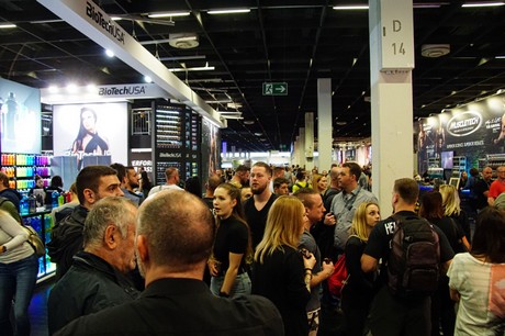 fibo