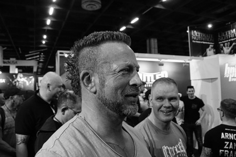 fibo