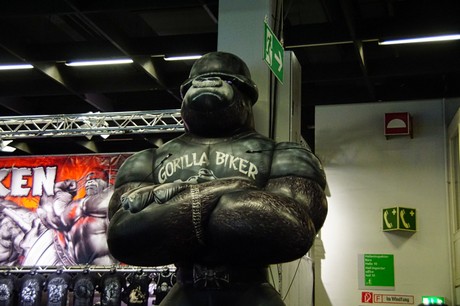 fibo