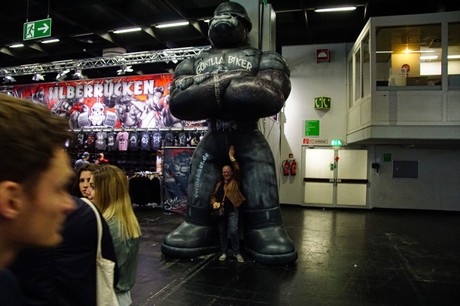 fibo