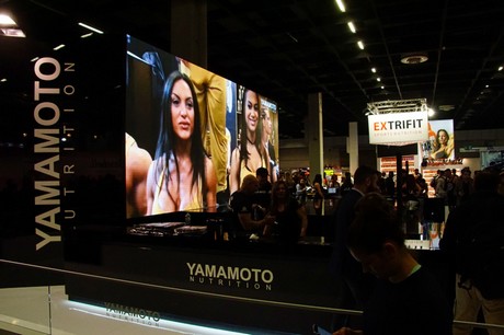 fibo