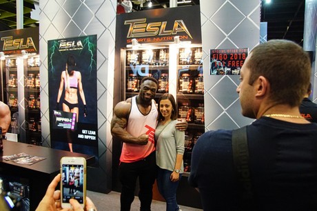 fibo