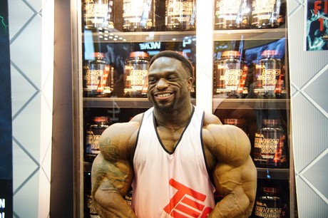 fibo