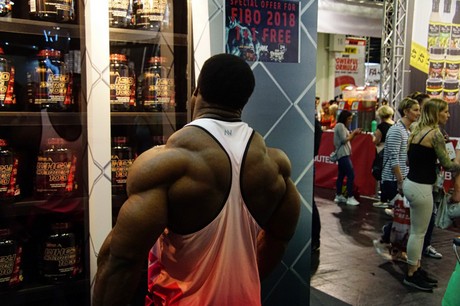fibo