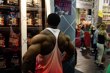fibo