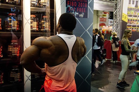 fibo