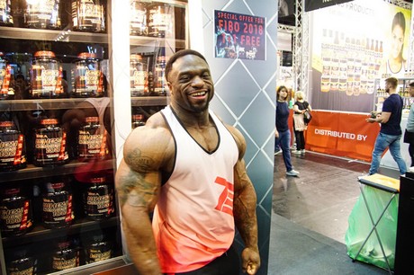 fibo