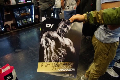 fibo
