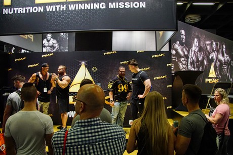 fibo