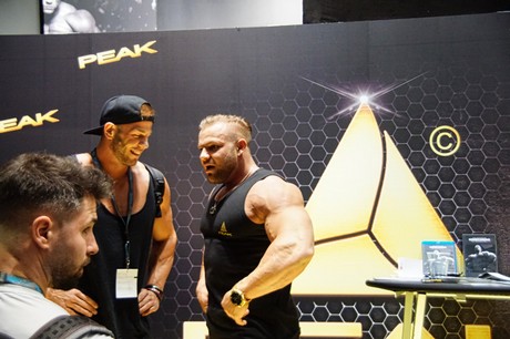 fibo