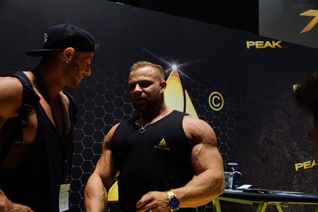 fibo