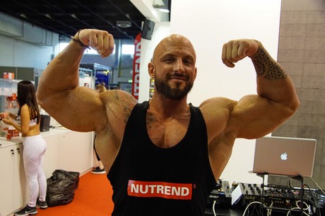 fibo