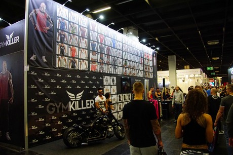 fibo