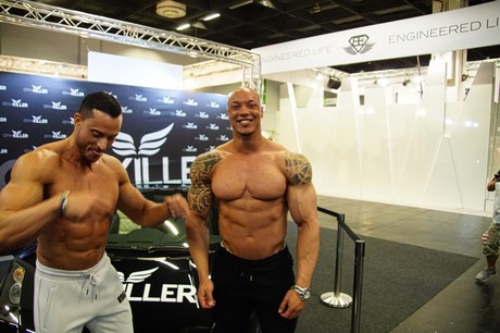 fibo