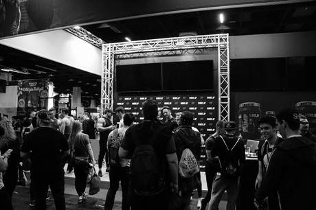 fibo