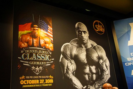 fibo