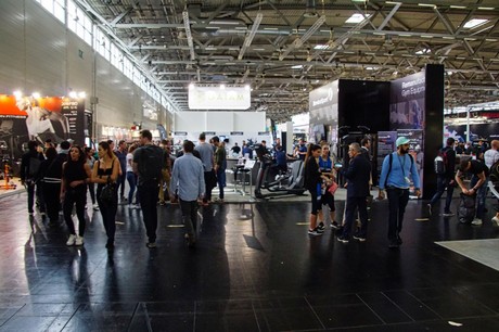 fibo