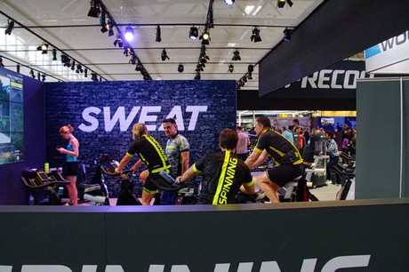 fibo