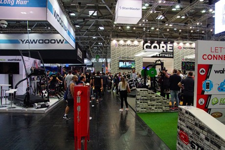 fibo
