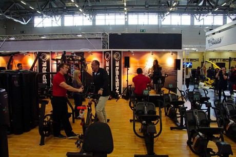 fibo