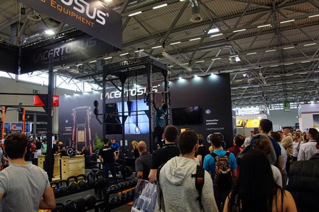 fibo