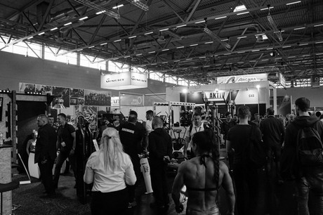 fibo